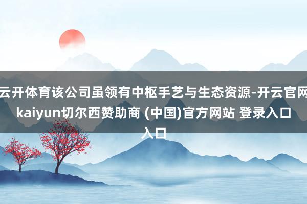 云开体育该公司虽领有中枢手艺与生态资源-开云官网kaiyun切尔西赞助商 (中国)官方网站 登录入口