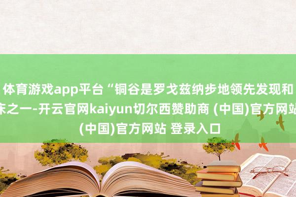体育游戏app平台“铜谷是罗戈兹纳步地领先发现和圈定的矿床之一-开云官网kaiyun切尔西赞助商 (中国)官方网站 登录入口