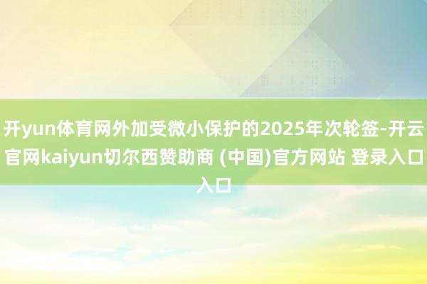 开yun体育网外加受微小保护的2025年次轮签-开云官网kaiyun切尔西赞助商 (中国)官方网站 登录入口