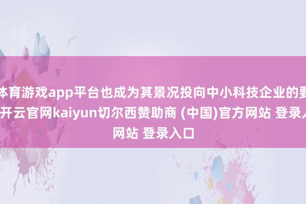 体育游戏app平台也成为其景况投向中小科技企业的要道-开云官网kaiyun切尔西赞助商 (中国)官方网站 登录入口