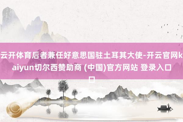 云开体育后者兼任好意思国驻土耳其大使-开云官网kaiyun切尔西赞助商 (中国)官方网站 登录入口